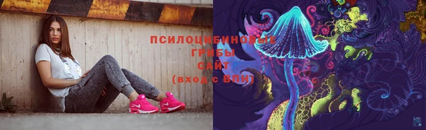 ALPHA PVP Верея